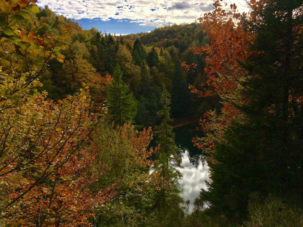 House By The River Plitvica selo Εξωτερικό φωτογραφία